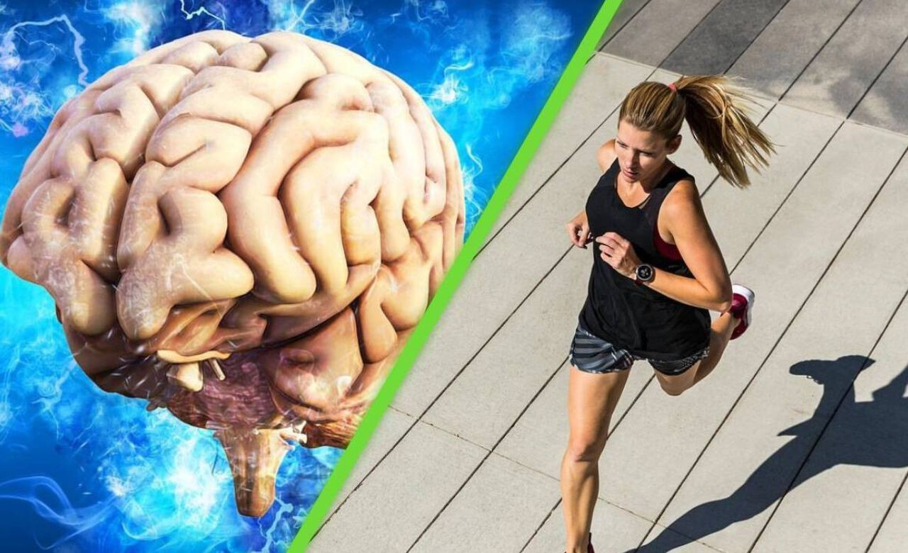 <H1>Exercícios que realmente rejuvenescem seu corpo e cérebro<H1>