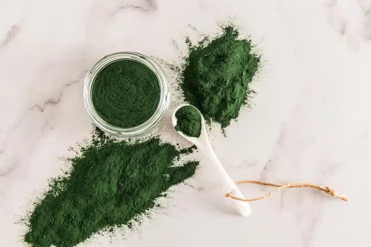 <H1>Spirulina emagrece? Veja o que diz a ciência!<H1>