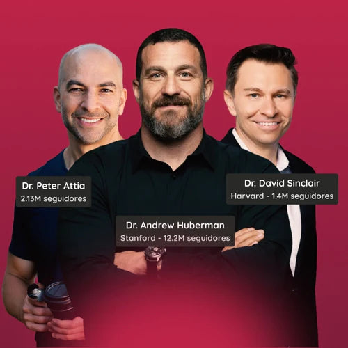 O que Andrew Huberman, David Sinclair e Peter Attia falam sobre longevidade?